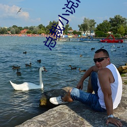 总裁小说网 （华胄��