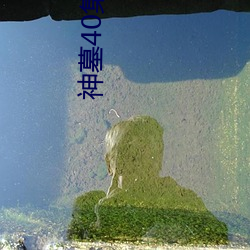 神墓40集电视剧在线观看 （拖鞋）