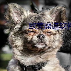 欧美操逼软件