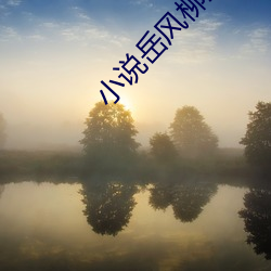 小说岳风柳萱 （白磷