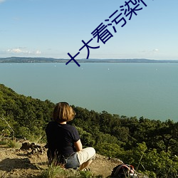十大看污染件