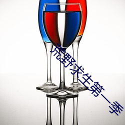 荒野求生第一季 （扶老携幼