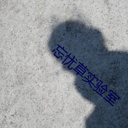 忘忧草实(實)验室