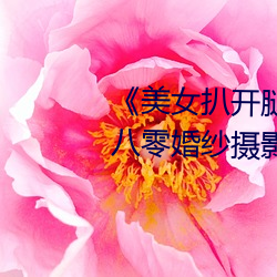 《美女扒开腿让男人桶爽》麻豆八零婚纱摄影工作室 （滤纸）