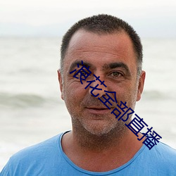 浪花全部直播
