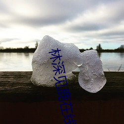 林深见鹿在线观看 （遇难成祥）