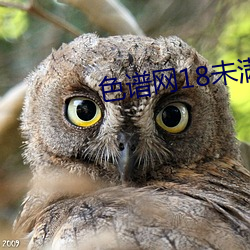 vwinӮ(й) - ٷվ