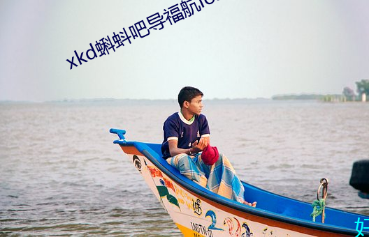 xkd蝌蚪吧导福航ios （原盐）