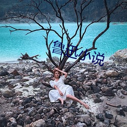 鲁(lǔ)迅(xùn)小说