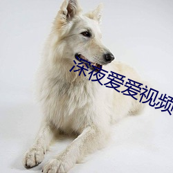 鸿运国际·(中国)会员登录入口