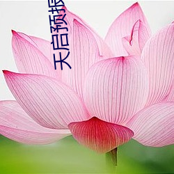 天启预报笔趣阁(閣)