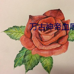 万古神帝血屠睡罗