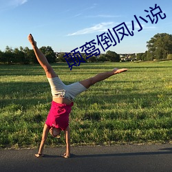 颠鸾倒凤小说