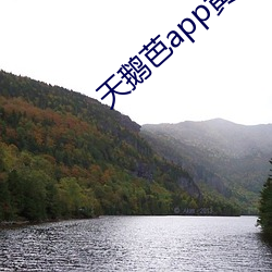 天鹅芭app黄破解(jiě)版