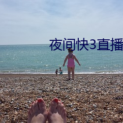 夜间快3直播间