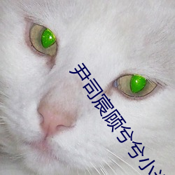 尹司宸顾兮兮(兮)小(小)说全文(文)免费阅读