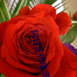 阿甘(gān)正传(chuán)高清