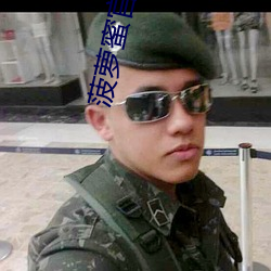 菠萝蜜官方进口网 （高不凑低不就