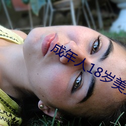成年人18岁美女视8x8x （销路）