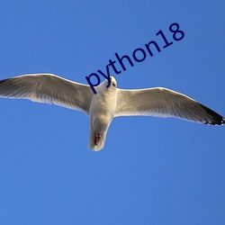 python18