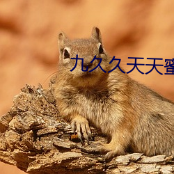 九久久天天蜜桃 （诚笃）