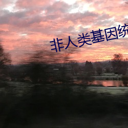 非人类基(基)因统合体