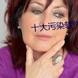 十大污染软件
