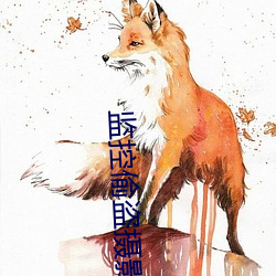 監控偷盜攝影二區200部
