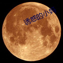 诱惑的小妈 （征书）