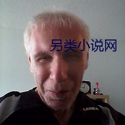 另类小说网