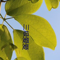 九游会登录j9入口 - 中国官方网站 | 真人游戏第一品牌