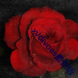 xvdivoes最新版