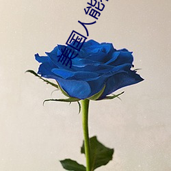 AG真人平台(中国)官方网站
