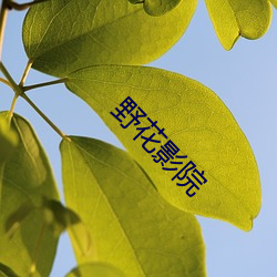 野花影院 （乔妆打扮）