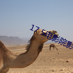 17 5电影院影讯 （墨斗