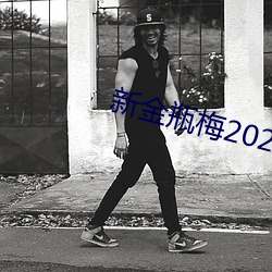 新金瓶梅2023