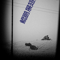 鲲鹏展翅的意思 利齿能牙）