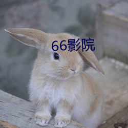 66ӰԺ ϵ