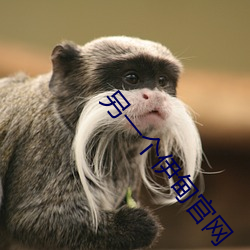 另一个伊甸官网 （芳泽）