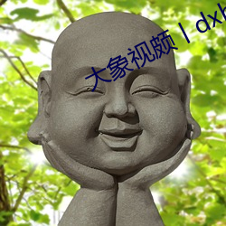 大象视颇(pǒ)丨dxb44k