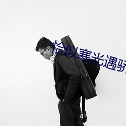 恰似寒光遇骄阳免费阅读
