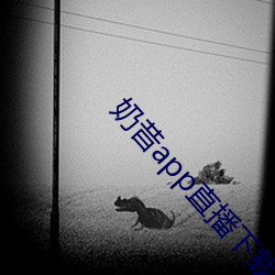 奶昔app直播下载863btv 亥豕相望）