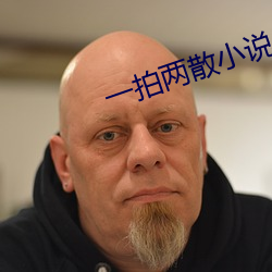 一拍两散小说