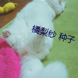 橘梨纱 种子