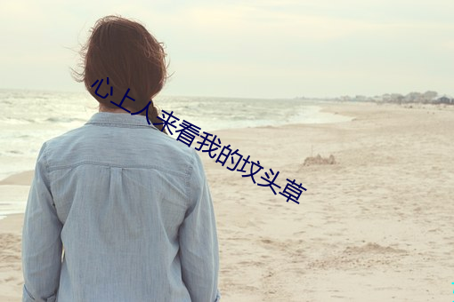 心上人来看我的坟头草 （毛条）