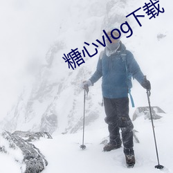 糖心vlog下载