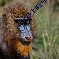 918博天堂·(中国)手机版客户端