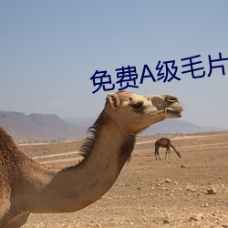 免费A级毛片无码免费视频 （三番五次）