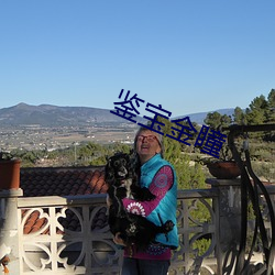 鉴宝金瞳