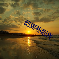 肥(肥)妻要翻(翻)身
